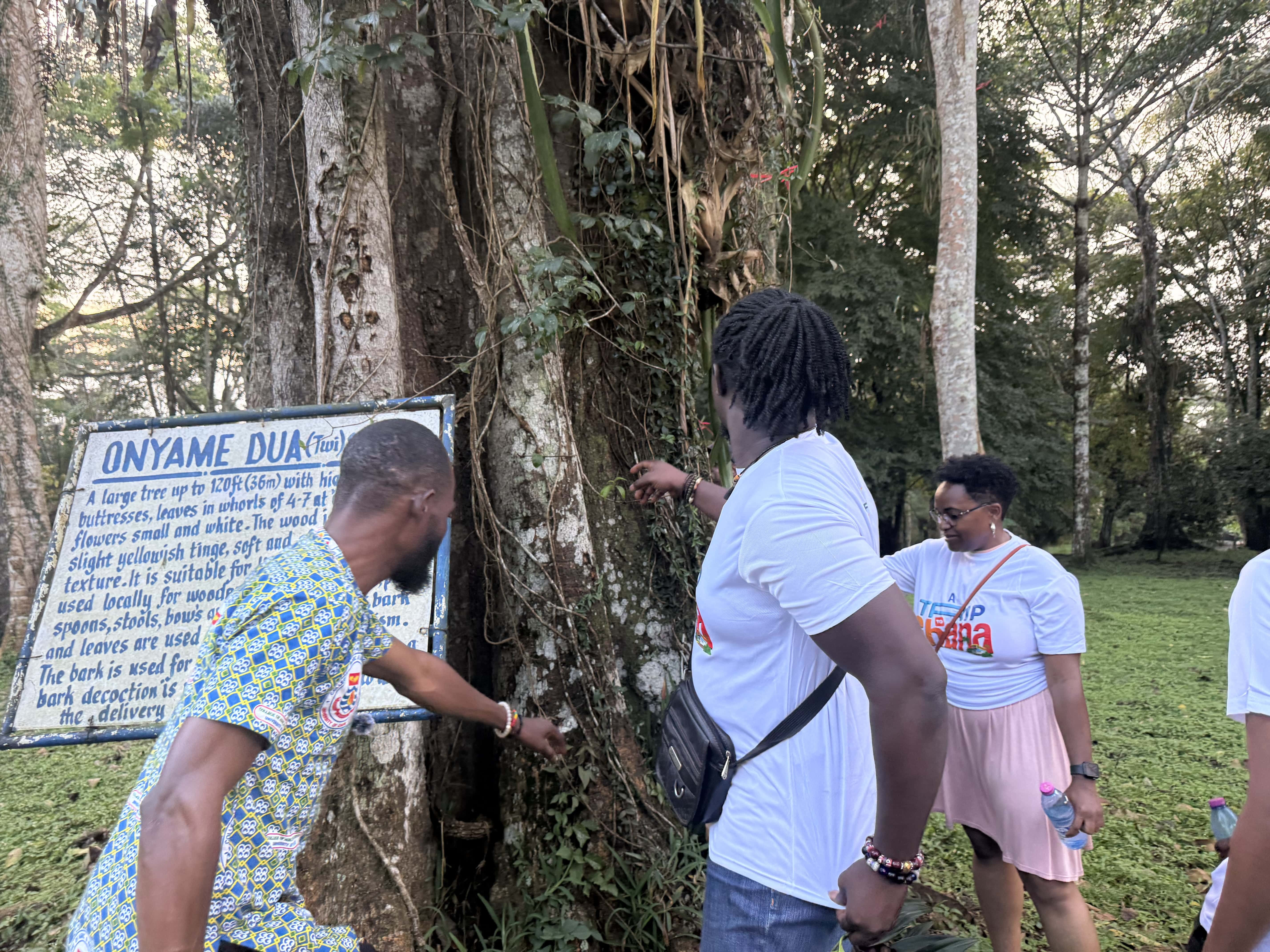 Aburi Botanical Garden 6