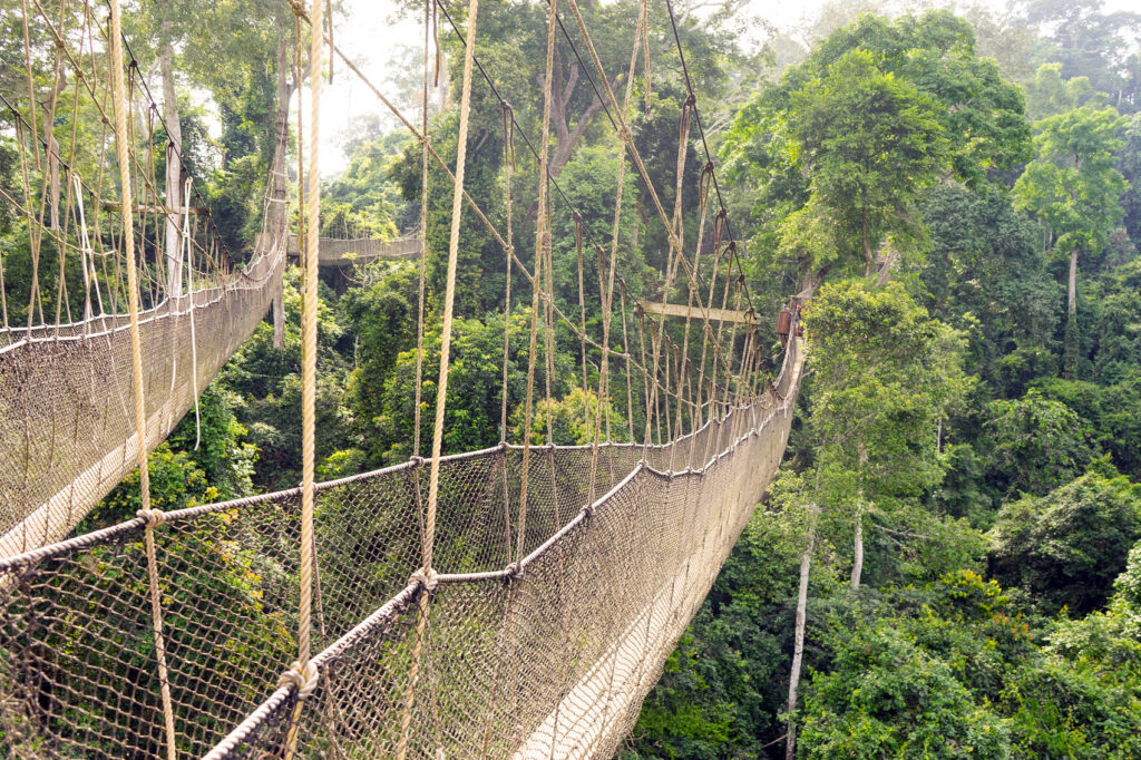 Kakum National Park Canopy Walk
